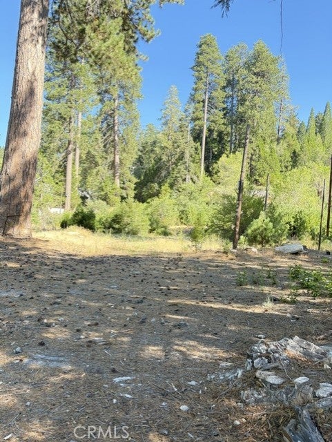 27263 State Highway 189