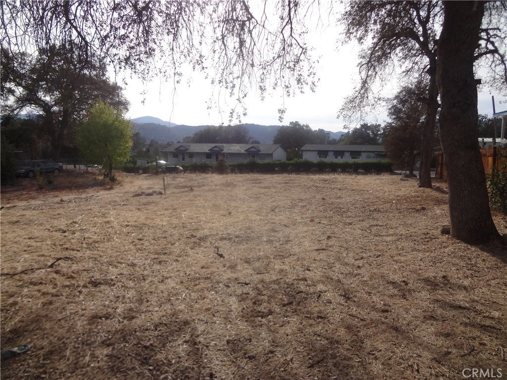 4433 Pine