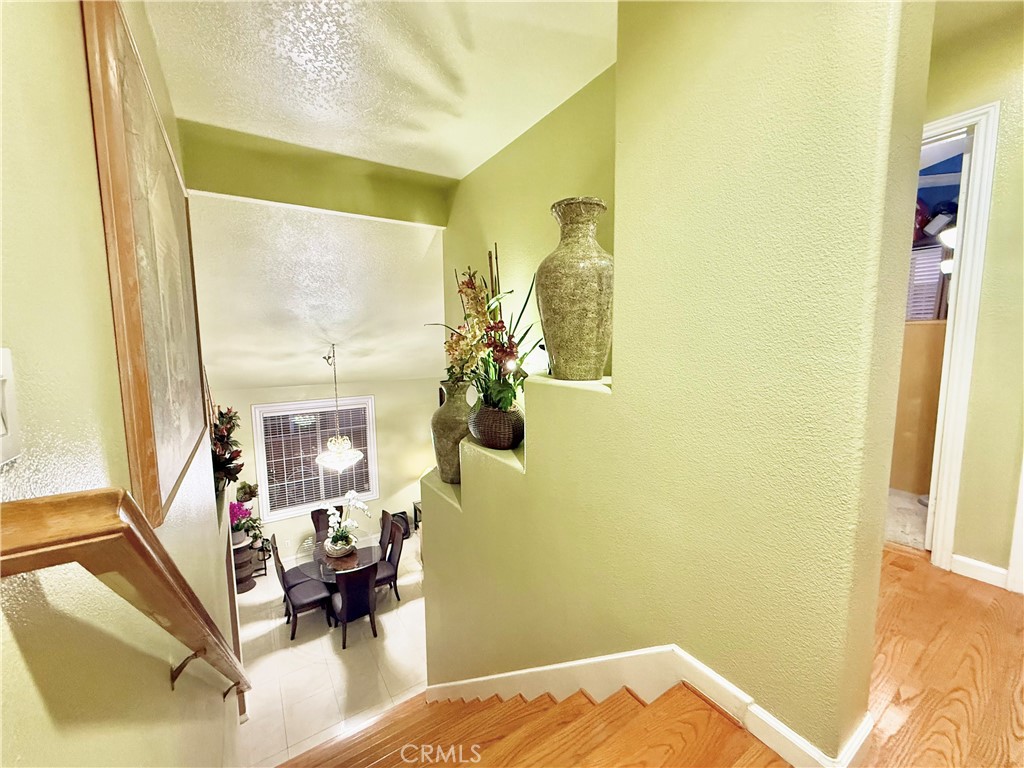 1529 Cascade