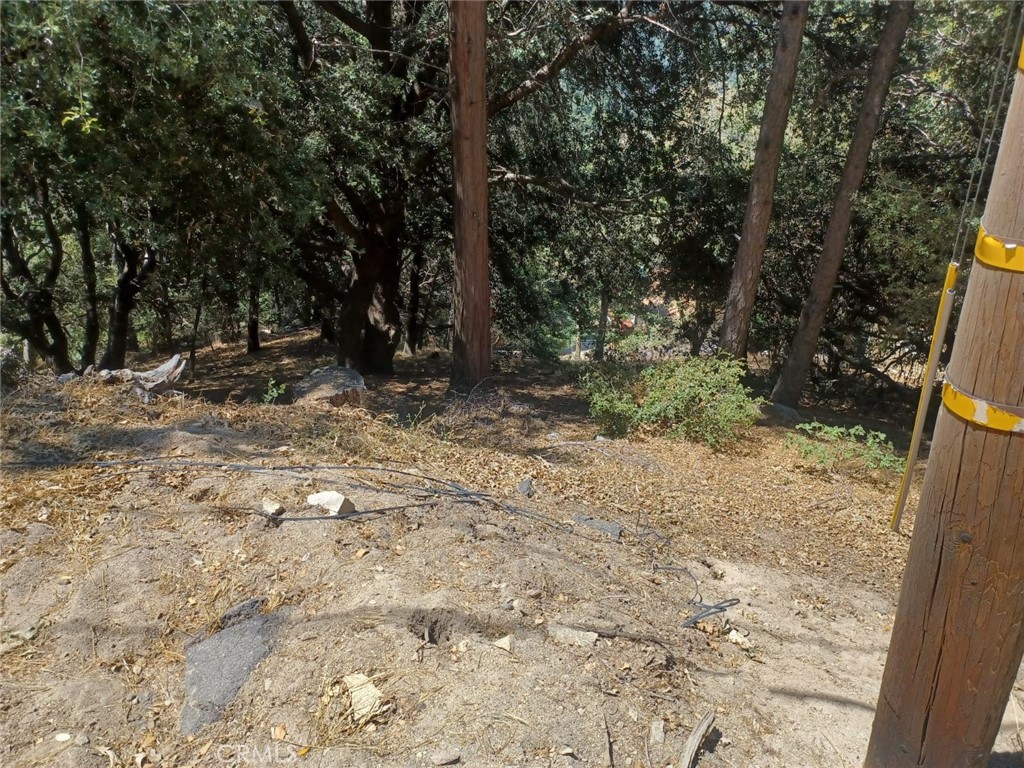 Now Is the Time To Invest In The "Strawberry Lodge" Neghborhood. This Community Is Located In The Area Of Twin Peaks. Should You Decide To Hold On To It For An Investment Or Build Yourself a 2-Story Home ( Maybe You'll Get A Peek-A-Boo Of Lake Gregory ) For Live In Or AirBnB It!, The Choice Is Yours!. Submit Today! GPS Coordinates Per MLS: Latitude: 34.237768 Longitude: -117.249003