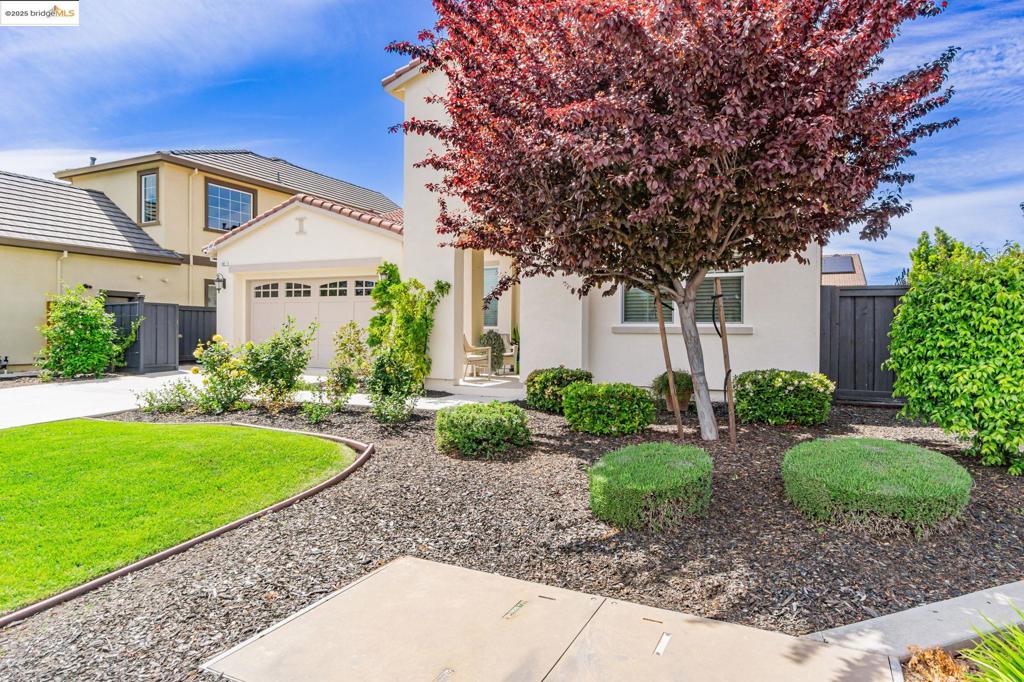 141 French Dr