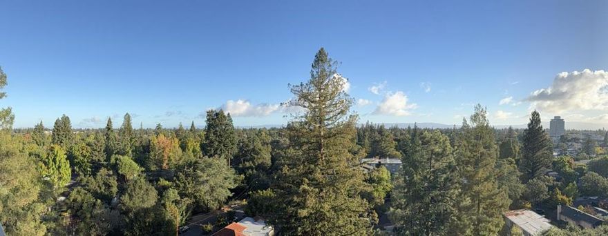 Rarely available and beautifully renovated, this 1-bedroom, 1-bath condo sits on the 11th floor of the prestigious 101 Alma high-rise in the heart of downtown Palo Alto. Boasting panoramic eastern views and floor-to-ceiling windows, this bright and spacious home offers a serene escape above the city.    Building amenities include designated covered parking with personal EV charger, fully equipped fitness center, on-site meeting and community rooms, laundry facilities, ground floor storage locker, 24/7 security, resort-style heated pool with cabanas and bbq area.  Perfect for Stanford students, faculty, or professionals seeking a sophisticated home close to everything, this residence offers both convenience and comfort.