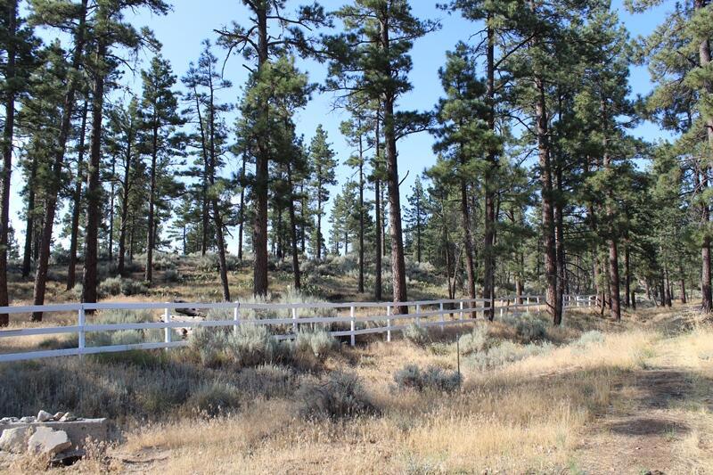 Garner Valley - Land