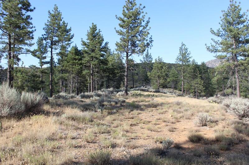 Garner Valley - Land