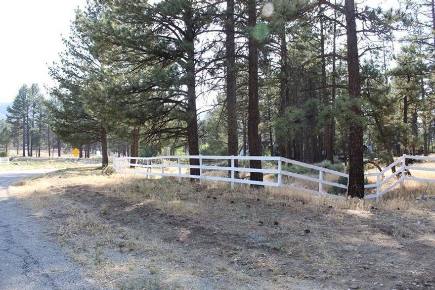 Overlooking almost 6 acres, perched on the towering pine tree forested knoll, is a dream house ready building site. Sharing a fence line with U.S. Forest land out back there is an offering of privacy and yesteryear independence. At 4,400' elevation the mild four-season climate gives rhythm to daily delights. An aged two stall barn is nestled with just enough cross-fencing for adequate pasture. As party to the Garner Valley HOA your rights go beyond your gate. There are 26 miles of private trails through the equestrian community, the Commons Clubhouse, a hitching post near the door and an arena for personal and events. Located above Palm Desert and Temecula Valley, Civilization is within close reach. HOA dues $700 annually. Bring your blueprints. It's time to get started. Adjacent 25+ Acre Equestrian Ranch also available for expansion dreams.