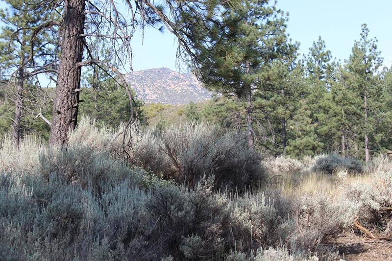 Garner Valley - Land