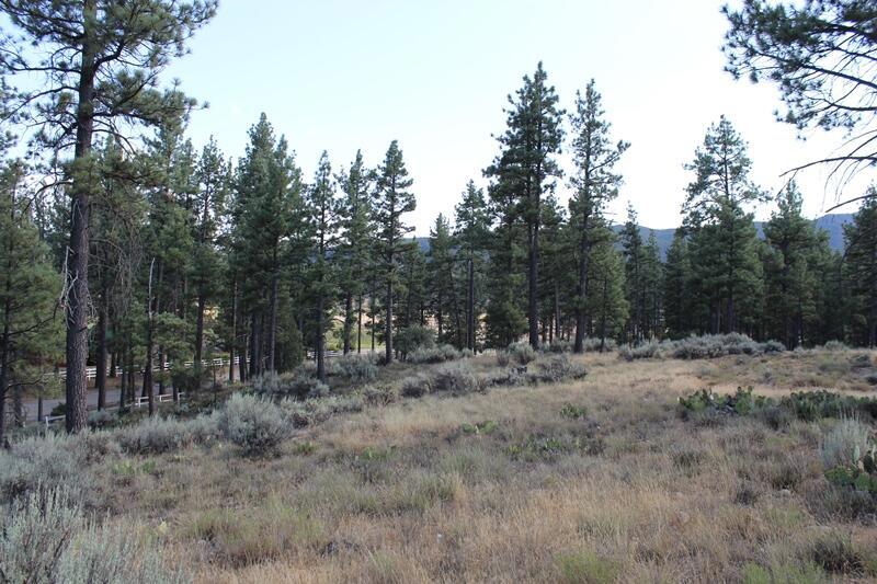 Garner Valley - Land