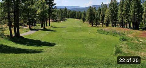 Photo of 976 Moon Shadow, Portola, CA 96122 (MLS # ML82056325)