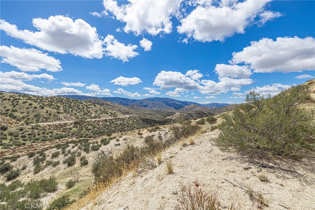 Custom Acton (CACTO) - Land