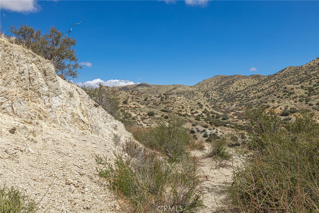 Custom Acton (CACTO) - Land