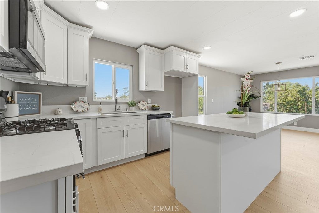 21133 Kinney