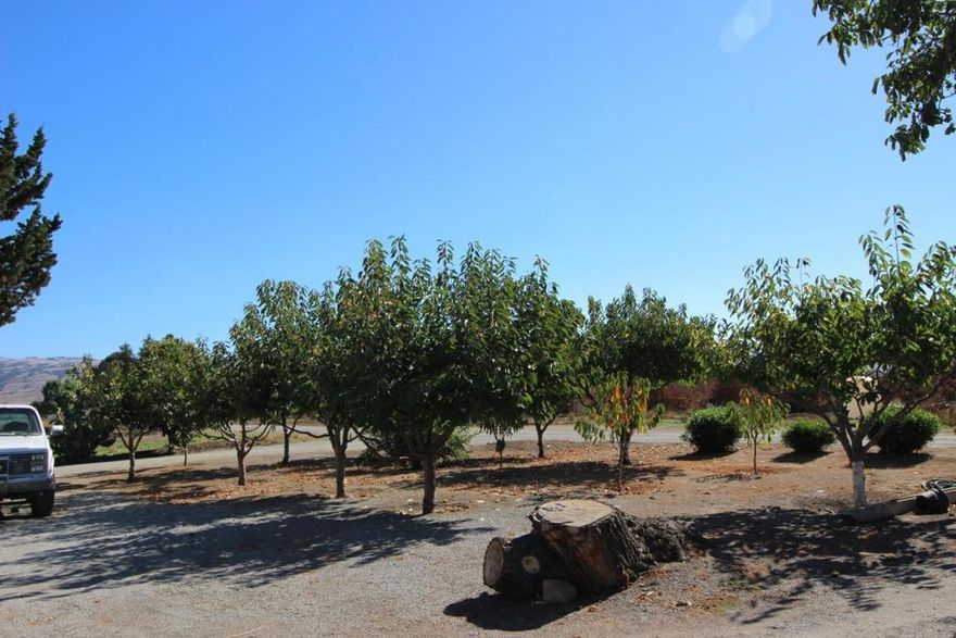 Almost 2 acres of  agricultural land. There is a non conforming, non permitted 1 bedroom cottage, detached shop/barn, small orchard, and open land for farming!  There are 7 marked parking stalls and tons of additional off street-parking. Water is available for cottage use only. Buyer to conduct there own investigations with regards to zoning/land use.