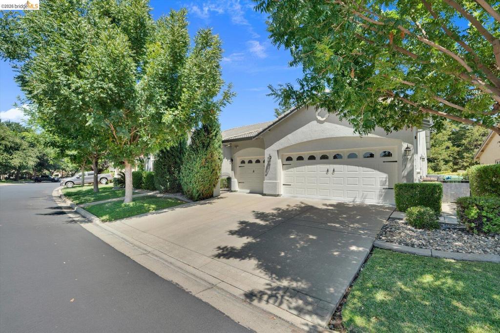 1161 Bacchini LN
