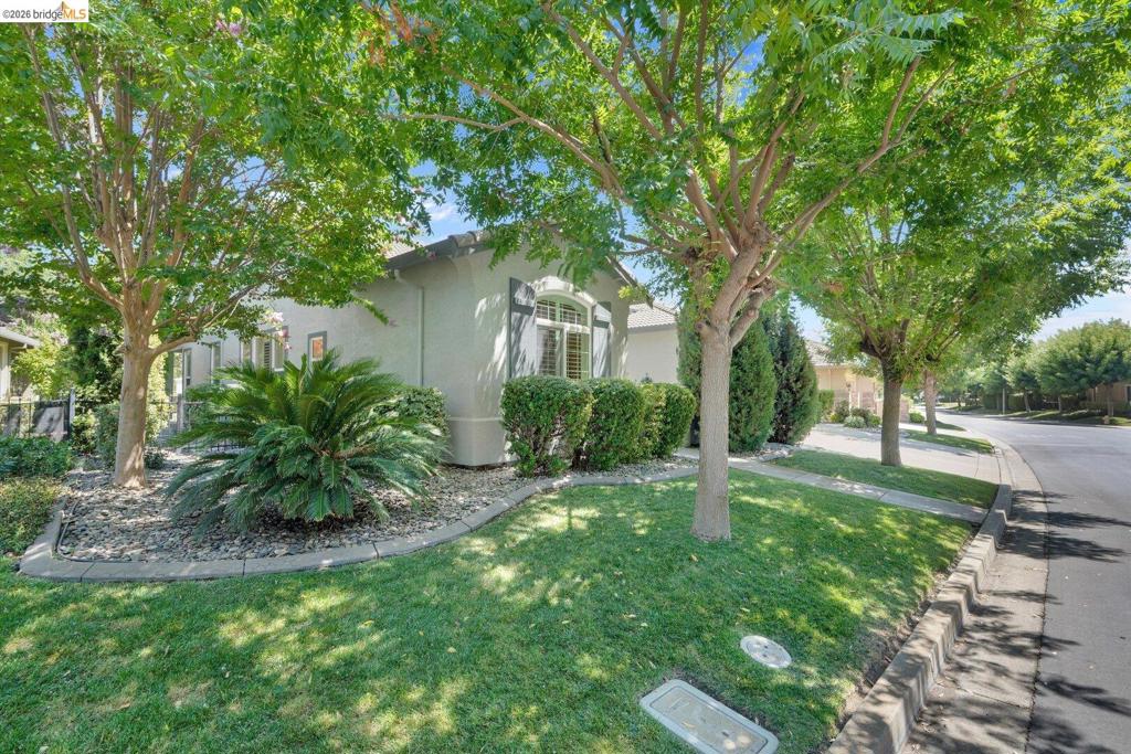 1161 Bacchini LN