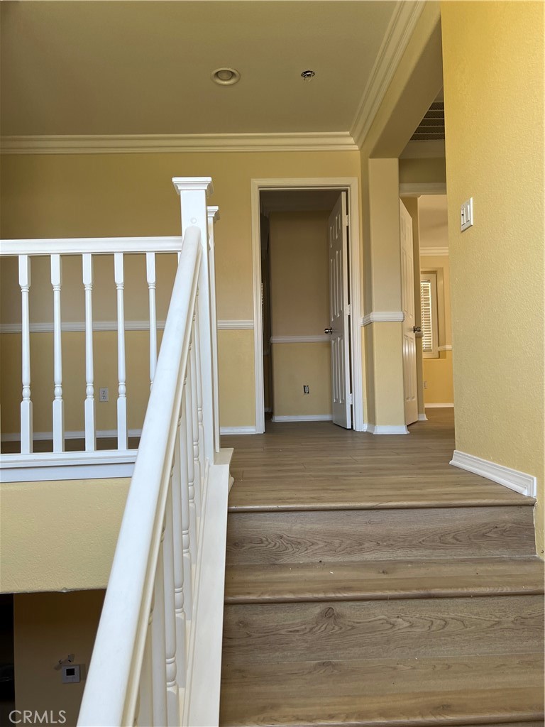 3355 Blazing Star Court