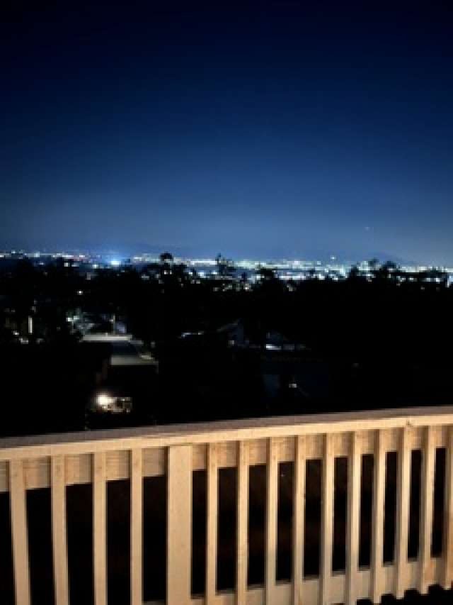 28831 Terrace Drive