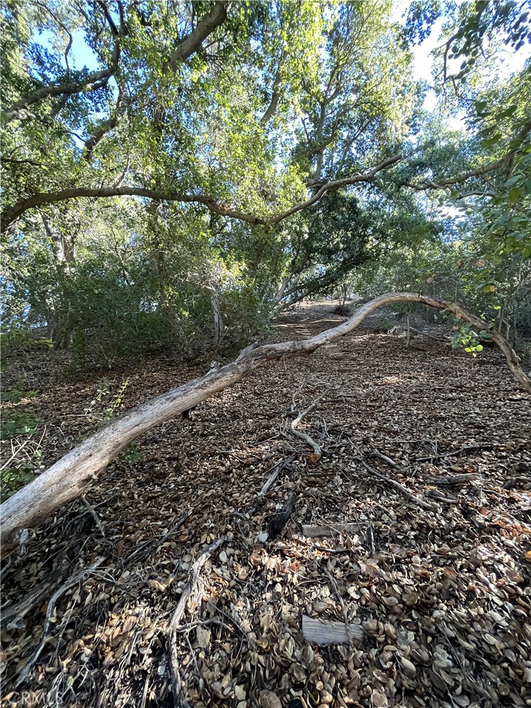 0 Old Topanga Canyon Rd