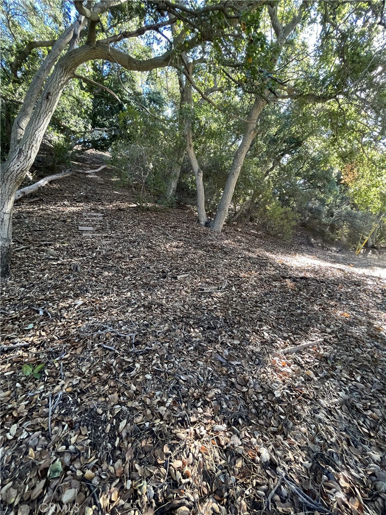 0 Old Topanga Canyon Rd