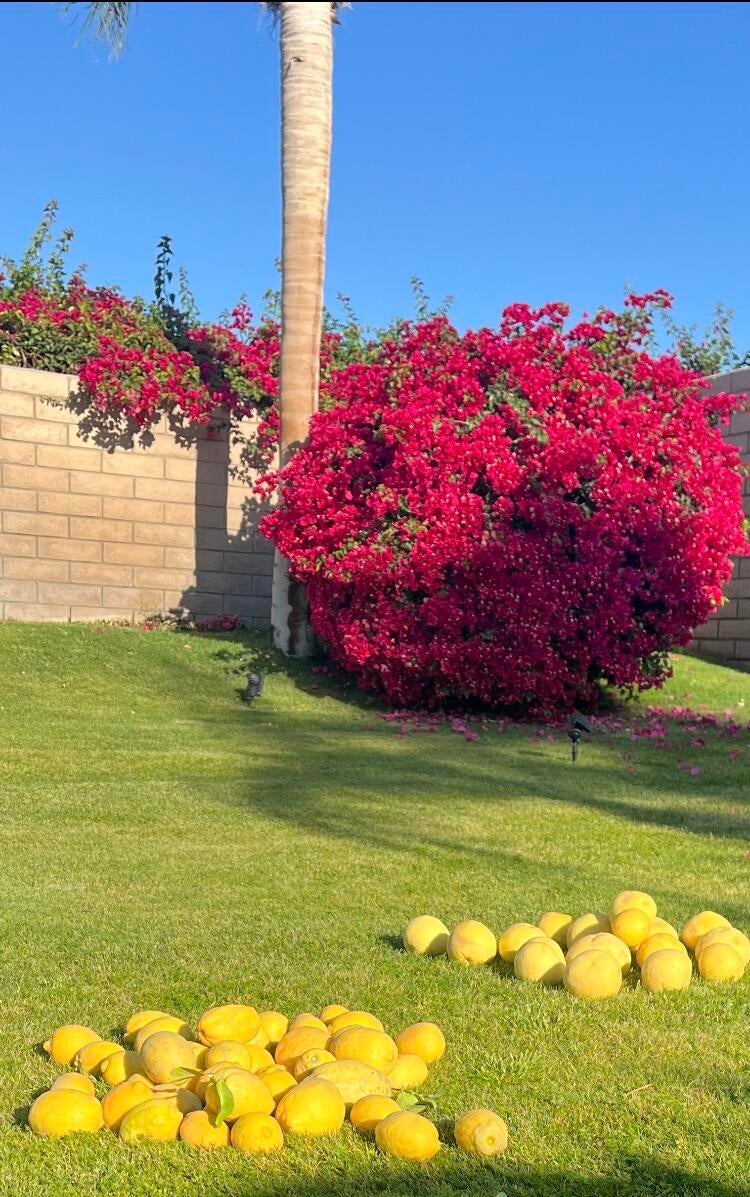 69411 Ramon Road 611