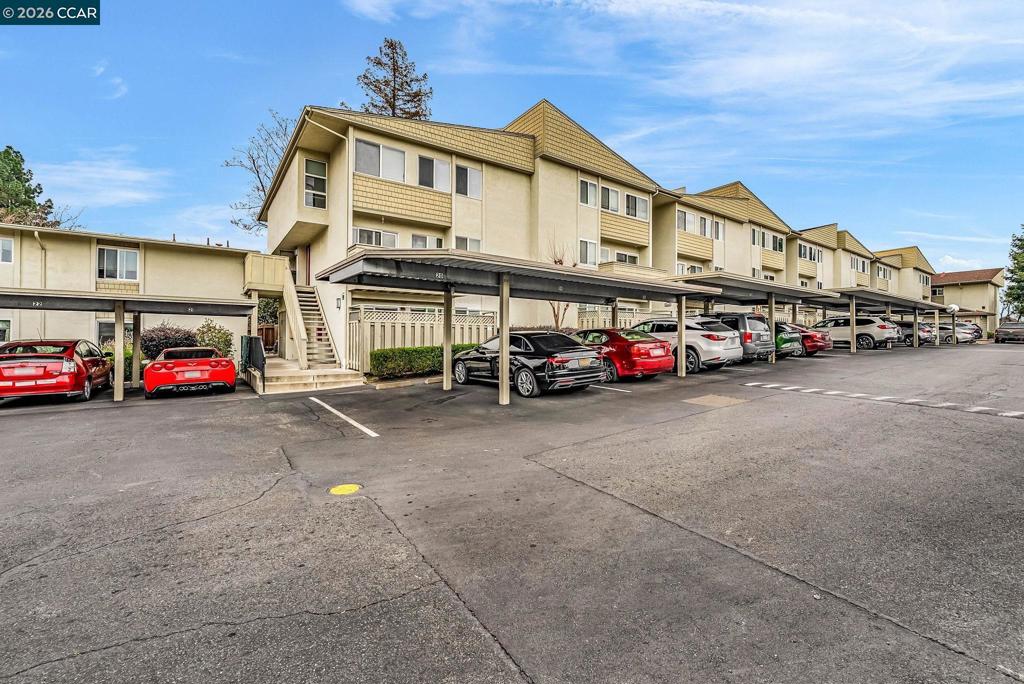 1812 Cole Ave 4