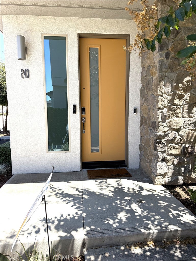 243 Pin Lane