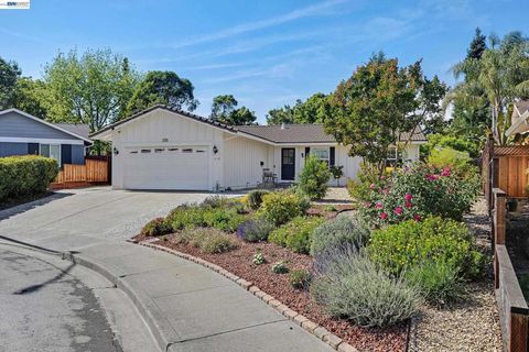 Photo of 318 Almond Ct, San Ramon, CA 94583 (MLS # 41132748)