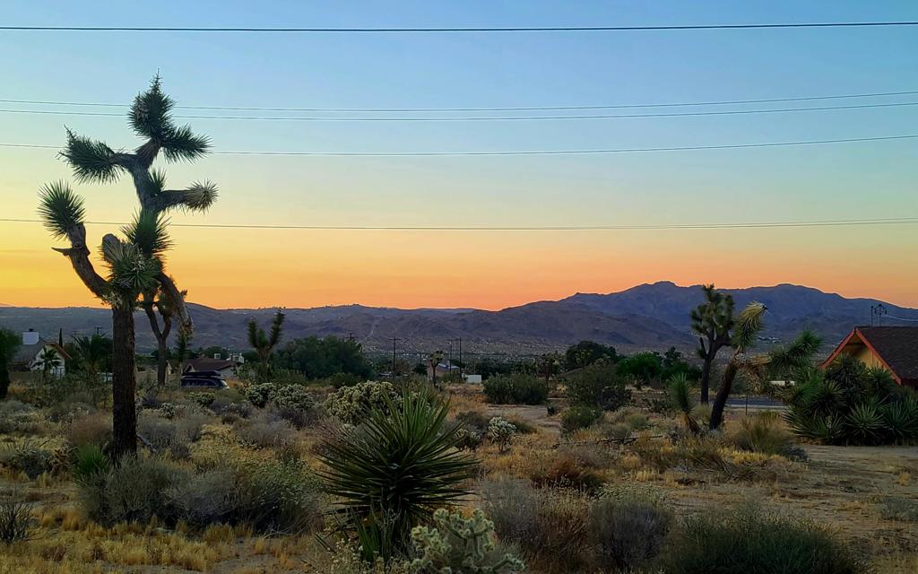 Not Applicable-1 - Land