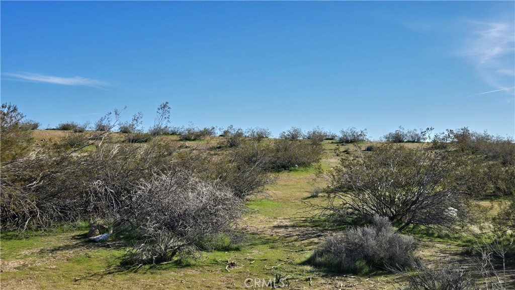 0 Near United St & Barrington Ave