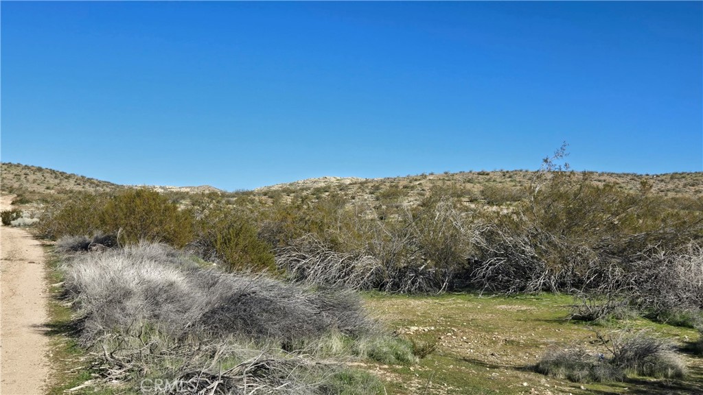 0 Near United St & Barrington Ave