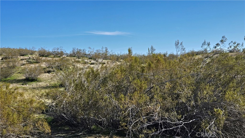 0 Near United St & Barrington Ave