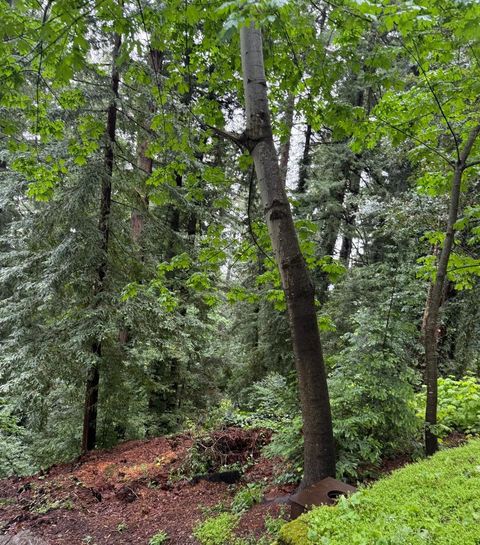 Photo of 18151 Mountain View Court, CA 95044 (MLS # ML82044777)