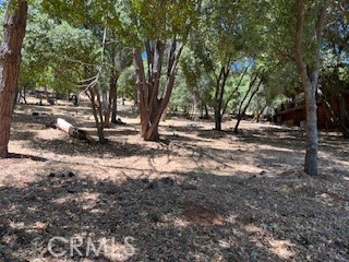Beautiful Buckingham residential lot. Almost one third of an acre with a gentle slope and shaded by mature trees. Adjoining lot also available. Enjoy Buckingham's community beach, boat launch and clubhouse. An excellent sought after neighborhood set under Mount Konocti and on the shores of Clear Lake.