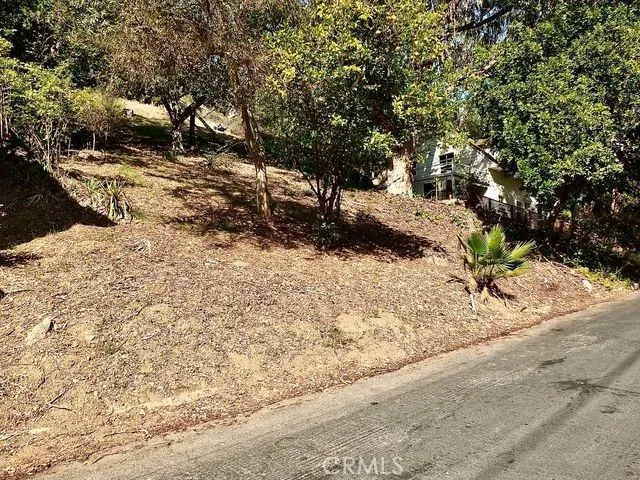 Los Angeles, California 90065, United States, ,Land,Active,240209