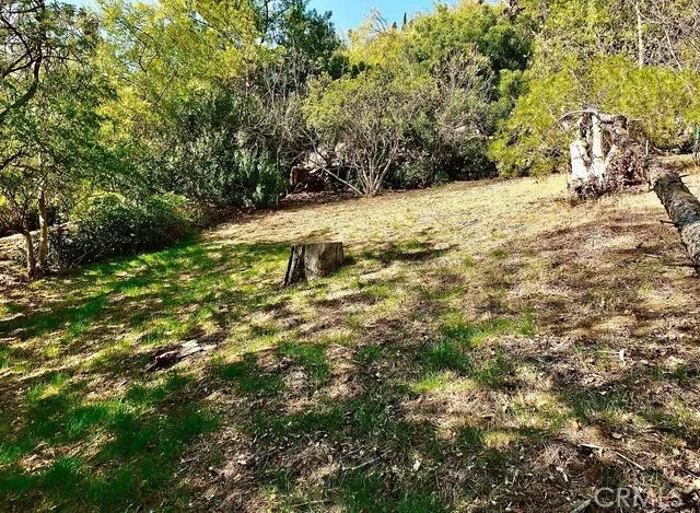 Los Angeles, California 90065, United States, ,Land,Active,240209