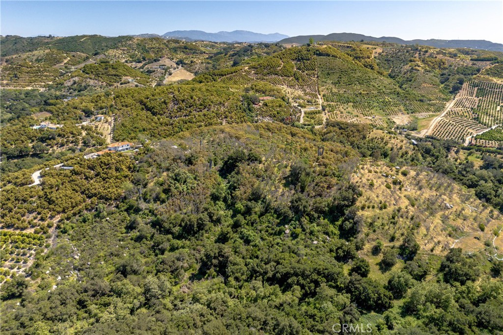 6 El Prado Road Road