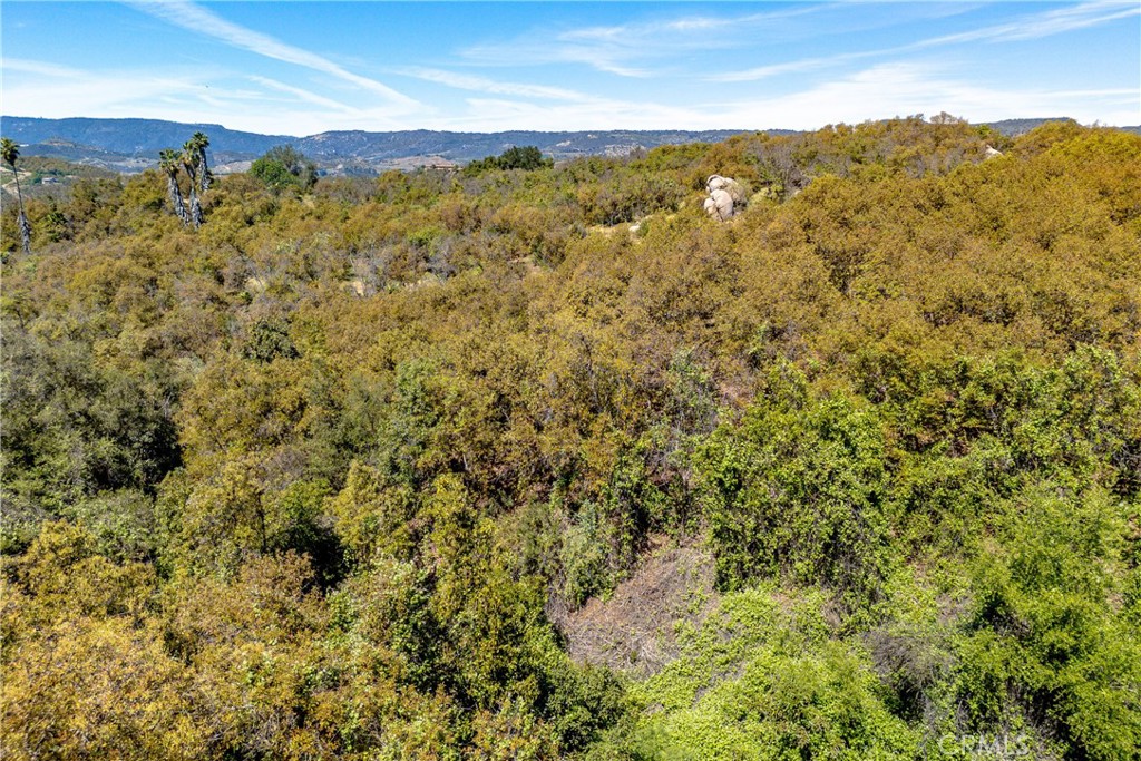 6 El Prado Road Road