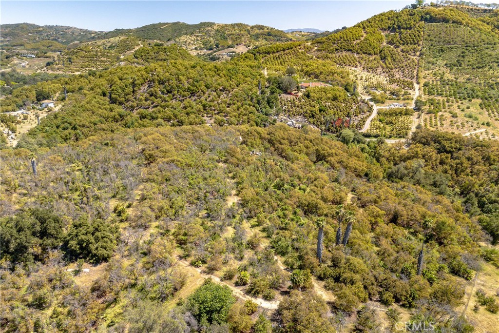 6 El Prado Road Road