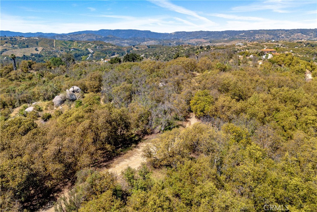 6 El Prado Road Road