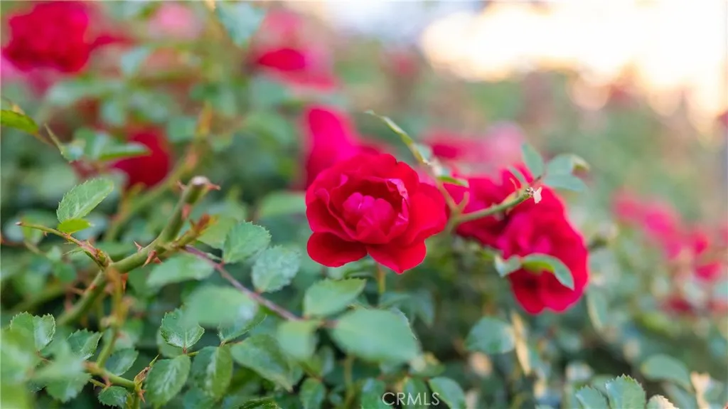 Rancho Cucamonga, California 91730, United States, 3 Bedrooms Bedrooms, ,3 BathroomsBathrooms,Residential,Active,151405