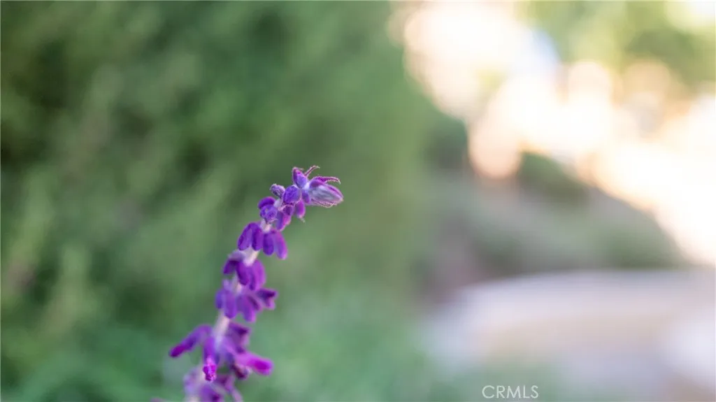 Rancho Cucamonga, California 91730, United States, 3 Bedrooms Bedrooms, ,3 BathroomsBathrooms,Residential,Active,151405