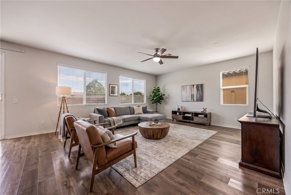 29338 Sword Fern