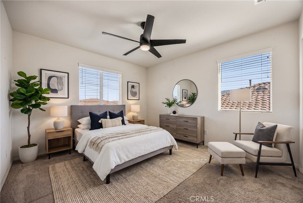 29338 Sword Fern