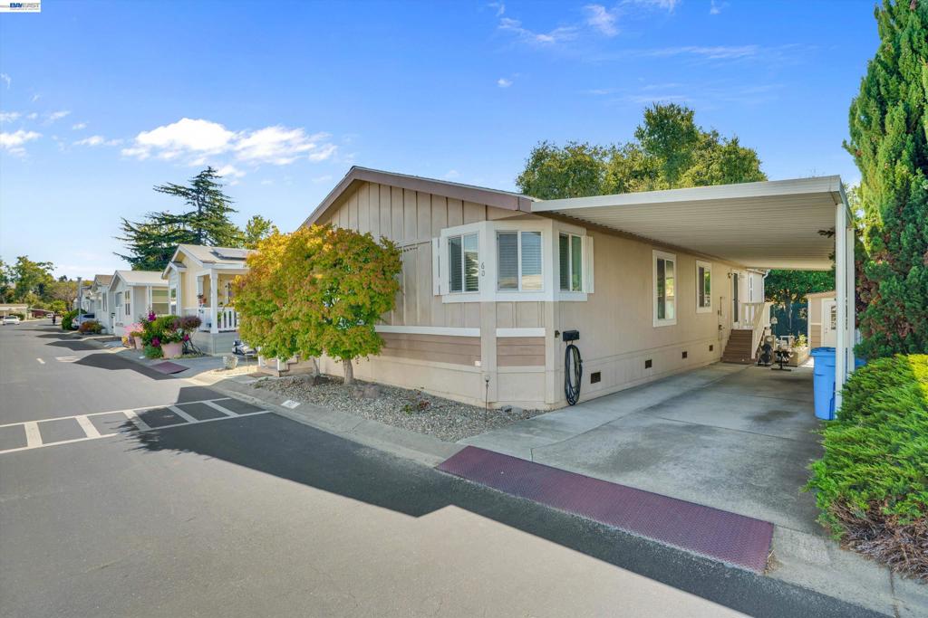 60 Palm Dr
