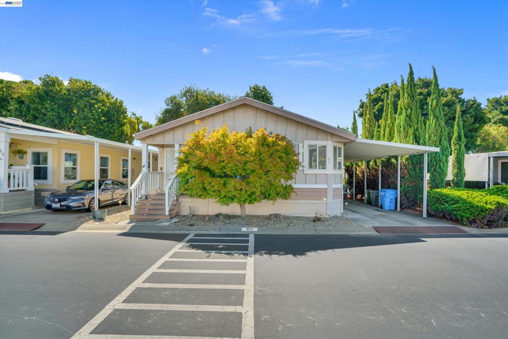 60 Palm Dr