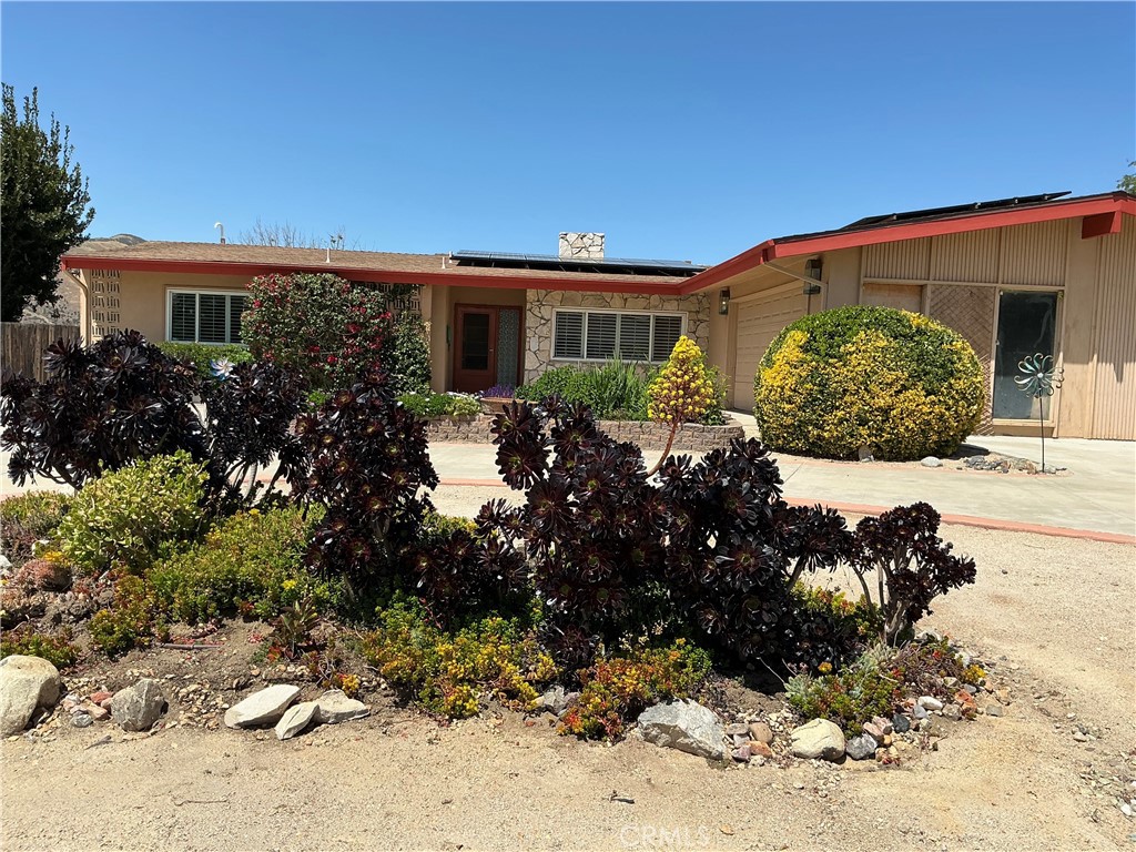 11735 Peach Tree