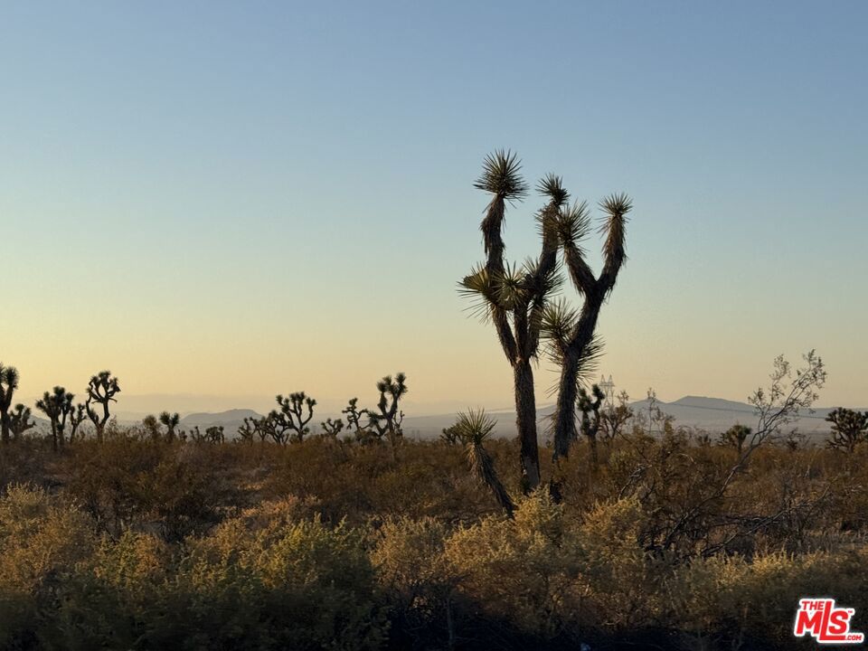 The best DEAL outhere!! A great opportunity awaiting , for someone who wants to take over and expand their building opportunities. this HUGE parcel of undeveloped land has alot to offer. It's perfect for an Investor /Builder. Come take a look to the stars!
