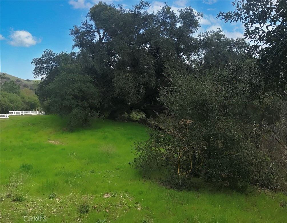 Old Agoura (850) - Land