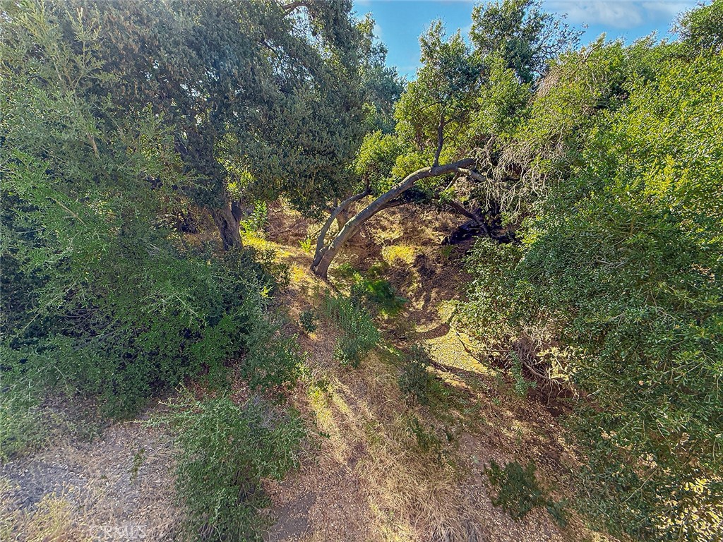 Old Agoura (850) - Land