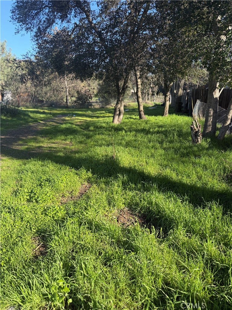 3626 Oleander
