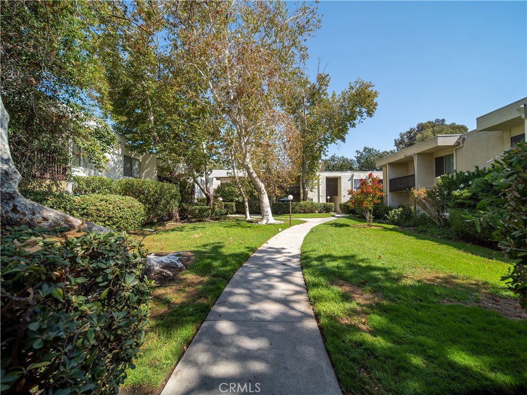 23515 Lyons 261